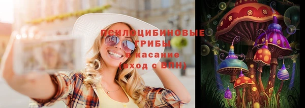 дурь Болотное