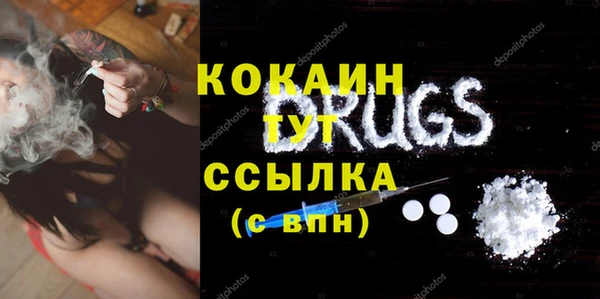 герыч Пересвет