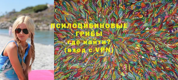 ГАЛЛЮЦИНОГЕННЫЕ ГРИБЫ Пестово