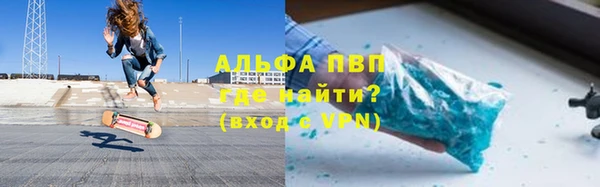 прущие грибы Болхов