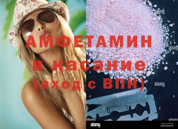 прущие грибы Болхов