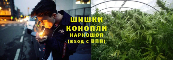 герыч Пересвет