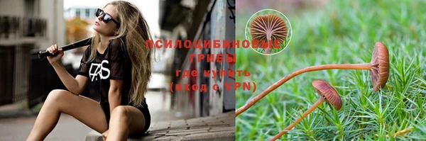 ГАЛЛЮЦИНОГЕННЫЕ ГРИБЫ Пестово