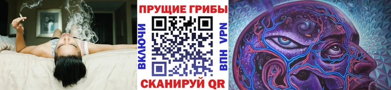 ОМГ ОМГ вход  Луховицы  Галлюциногенные грибы MAGIC MUSHROOMS 