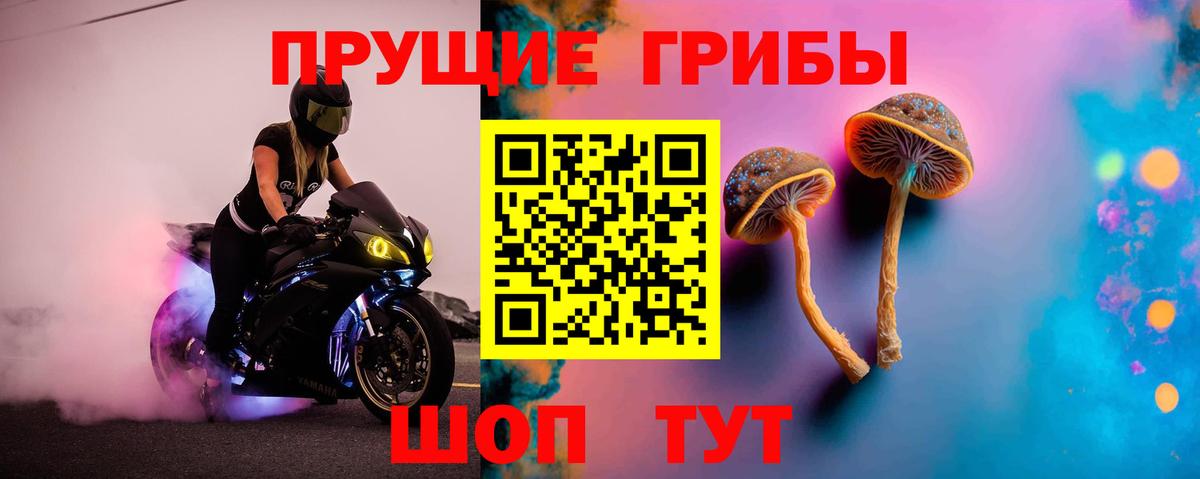 Псилоцибиновые грибы ЛСД  Псилоцибиновые грибы MAGIC MUSHROOMS  где продают наркотики  Вход с VPN  Луховицы 